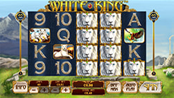 White King in DOXXbet